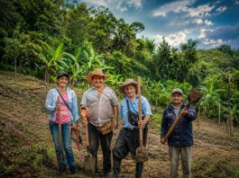 Piura invierte más de S/ 118 millones en agricultura familiar, riego y cadenas productivas Piura invierte más de S/ 118 millones en agricultura familiar, riego y cadenas productivas