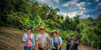 Piura invierte más de S/ 118 millones en agricultura familiar, riego y cadenas productivas Piura invierte más de S/ 118 millones en agricultura familiar, riego y cadenas productivas