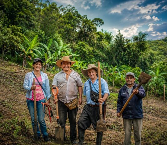 Piura invierte más de S/ 118 millones en agricultura familiar, riego y cadenas productivas Piura invierte más de S/ 118 millones en agricultura familiar, riego y cadenas productivas