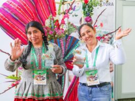 MIDAGRI: el 45,6 % de los productores agrarios en el Perú son mujeres MIDAGRI: el 45,6 % de los productores agrarios en el Perú son mujeres