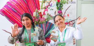 MIDAGRI: el 45,6 % de los productores agrarios en el Perú son mujeres MIDAGRI: el 45,6 % de los productores agrarios en el Perú son mujeres