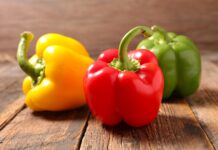 Productores de capsicum activan medidas preventivas ante posible fenómeno de El Niño Productores de capsicum activan medidas preventivas ante posible fenómeno de El Niño