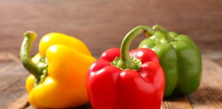 Productores de capsicum activan medidas preventivas ante posible fenómeno de El Niño Productores de capsicum activan medidas preventivas ante posible fenómeno de El Niño