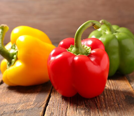 Productores de capsicum activan medidas preventivas ante posible fenómeno de El Niño Productores de capsicum activan medidas preventivas ante posible fenómeno de El Niño