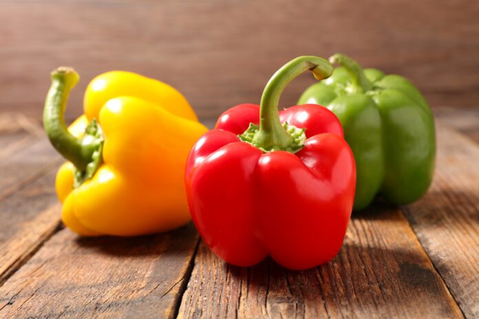 Productores de capsicum activan medidas preventivas ante posible fenómeno de El Niño