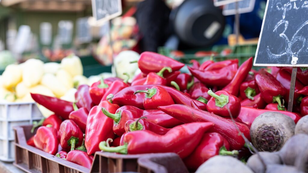 Exportaciones de pimiento piquillo peruano aumentaron 10,5 % en el primer cuatrimestre de 2026