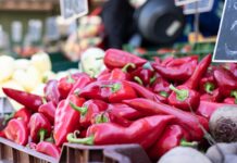 Exportaciones de pimiento piquillo peruano aumentaron 10,5 % en el primer cuatrimestre de 2026 Exportaciones de pimiento piquillo peruano aumentaron 10,5 % en el primer cuatrimestre de 2026