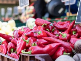 Exportaciones de pimiento piquillo peruano aumentaron 10,5 % en el primer cuatrimestre de 2026 Exportaciones de pimiento piquillo peruano aumentaron 10,5 % en el primer cuatrimestre de 2026