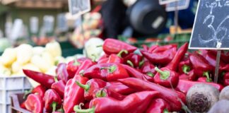 Exportaciones de pimiento piquillo peruano aumentaron 10,5 % en el primer cuatrimestre de 2026 Exportaciones de pimiento piquillo peruano aumentaron 10,5 % en el primer cuatrimestre de 2026