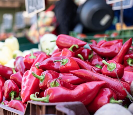 Exportaciones de pimiento piquillo peruano aumentaron 10,5 % en el primer cuatrimestre de 2026 Exportaciones de pimiento piquillo peruano aumentaron 10,5 % en el primer cuatrimestre de 2026