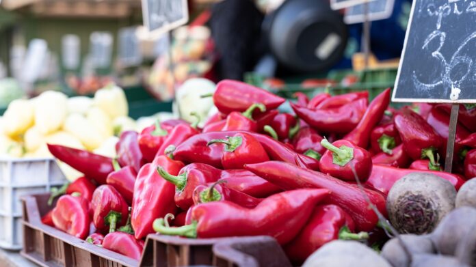 Exportaciones de pimiento piquillo peruano aumentaron 10,5 % en el primer cuatrimestre de 2026