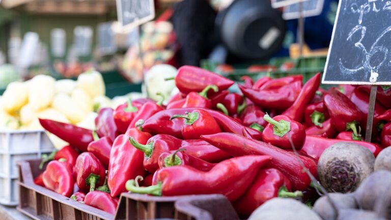 Exportaciones de pimiento piquillo peruano aumentaron 10,5 % en el primer cuatrimestre de 2026