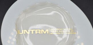 Amazonas: crean envases biodegradables con semillas de lúcuma para conservar frutas Amazonas: crean envases biodegradables con semillas de lúcuma para conservar frutas