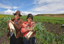 INEI: Mujeres conducen el 31,2 % de las unidades agropecuarias en Perú INEI: Mujeres conducen el 31,2 % de las unidades agropecuarias en Perú