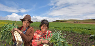 INEI: Mujeres conducen el 31,2 % de las unidades agropecuarias en Perú INEI: Mujeres conducen el 31,2 % de las unidades agropecuarias en Perú