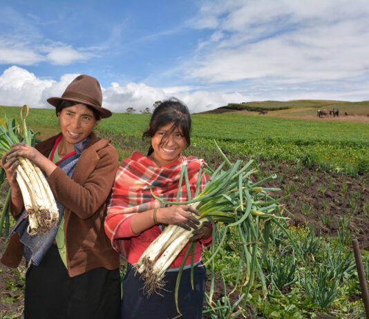 INEI: Mujeres conducen el 31,2 % de las unidades agropecuarias en Perú INEI: Mujeres conducen el 31,2 % de las unidades agropecuarias en Perú