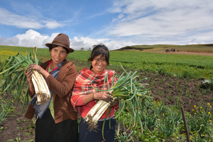 INEI: Mujeres conducen el 31,2 % de las unidades agropecuarias en Perú INEI: Mujeres conducen el 31,2 % de las unidades agropecuarias en Perú