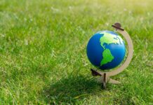 Día Mundial del Medio Ambiente: peruanos exigen mayor transparencia en inversiones Día Mundial del Medio Ambiente: peruanos exigen mayor transparencia en inversiones