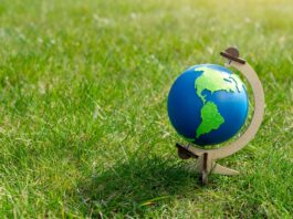 Día Mundial del Medio Ambiente: peruanos exigen mayor transparencia en inversiones Día Mundial del Medio Ambiente: peruanos exigen mayor transparencia en inversiones