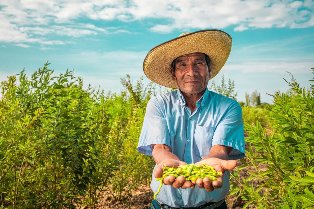 Día del Campesino: más de 2 millones de productores agrarios impulsan la seguridad alimentaria del Perú
