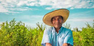 Día del Campesino: más de 2 millones de productores agrarios impulsan la seguridad alimentaria del Perú Día del Campesino: más de 2 millones de productores agrarios impulsan la seguridad alimentaria del Perú