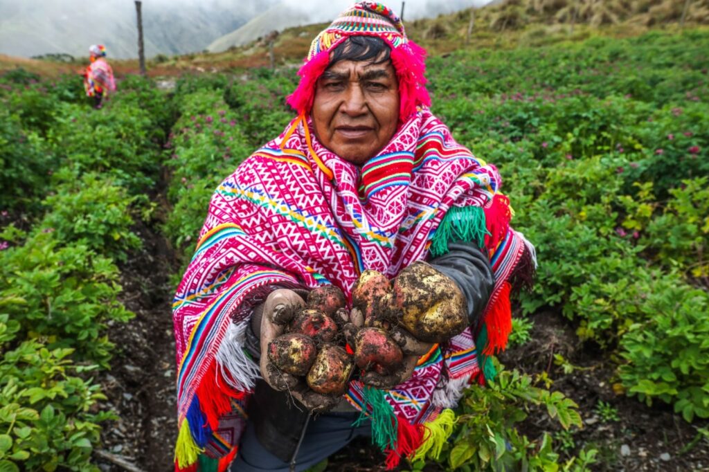 Día del Campesino en Perú destaca el rol clave de la agricultura en la seguridad alimentaria