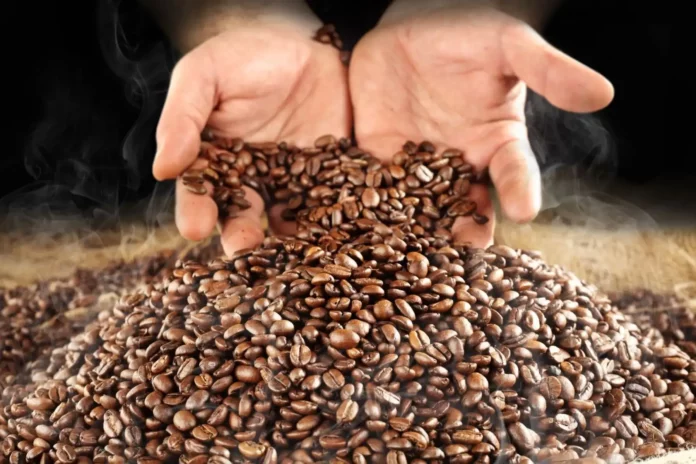 Promueven caficultura de residuo cero en la selva central con modelo de economía circular y reducción del uso de agua Promueven caficultura de residuo cero en la selva central con modelo de economía circular y reducción del uso de agua