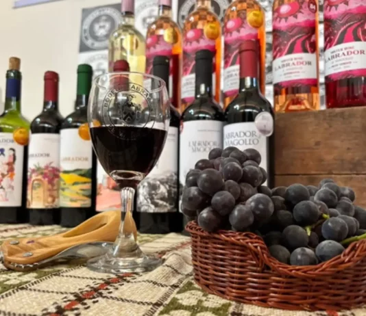 Ica celebrará el Día Nacional del Vino Peruano con catas, maridajes y actividades especializadas Ica celebrará el Día Nacional del Vino Peruano con catas, maridajes y actividades especializadas
