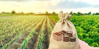 Productores agrarios de Piura acceden a información sobre financiamiento y asociatividad empresarial Productores agrarios de Piura acceden a información sobre financiamiento y asociatividad empresarial