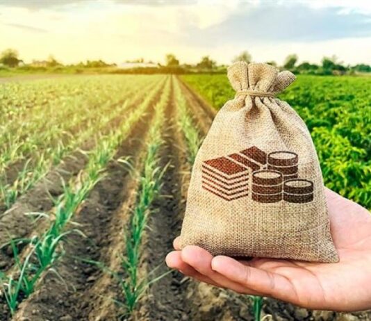Productores agrarios de Piura acceden a información sobre financiamiento y asociatividad empresarial Productores agrarios de Piura acceden a información sobre financiamiento y asociatividad empresarial