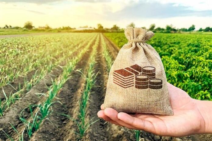 Productores agrarios de Piura acceden a información sobre financiamiento y asociatividad empresarial Productores agrarios de Piura acceden a información sobre financiamiento y asociatividad empresarial