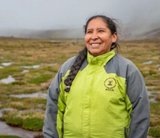 Bióloga cusqueña Marlene Mamani es reconocida por National Geographic por su trabajo en conservación ambiental Bióloga cusqueña Marlene Mamani es reconocida por National Geographic por su trabajo en conservación ambiental