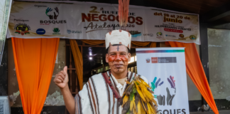 Ucayali: Comunidades nativas de Atalaya proyectan negocios por más de S/ 1.3 millones en el Festival del Cacao Ucayali: Comunidades nativas de Atalaya proyectan negocios por más de S/ 1.3 millones en el Festival del Cacao