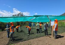 Piura: Nuevo vivero en Paimas impulsará la producción de frutales, forestales y hortalizas Nuevo vivero en Paimas impulsará la producción de frutales, forestales y hortalizas