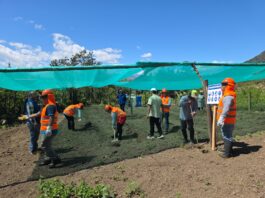 Piura: Nuevo vivero en Paimas impulsará la producción de frutales, forestales y hortalizas Nuevo vivero en Paimas impulsará la producción de frutales, forestales y hortalizas