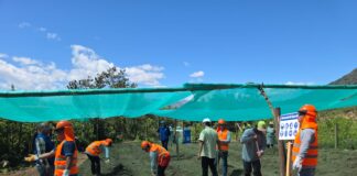 Piura: Nuevo vivero en Paimas impulsará la producción de frutales, forestales y hortalizas Nuevo vivero en Paimas impulsará la producción de frutales, forestales y hortalizas