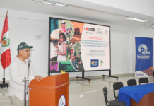 Piura: Proyecto Banano impulsa medidas de bioseguridad frente al avance del Fusarium R4T Piura: Proyecto Banano impulsa medidas de bioseguridad frente al avance del Fusarium R4T