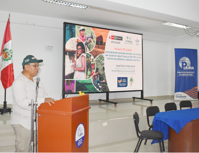Piura: Proyecto Banano impulsa medidas de bioseguridad frente al avance del Fusarium R4T Piura: Proyecto Banano impulsa medidas de bioseguridad frente al avance del Fusarium R4T