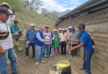 Piura: Más de 30 productores de Sapillica reciben capacitación en manejo preventivo de plagas Piura: Más de 30 productores de Sapillica reciben capacitación en manejo preventivo de plagas