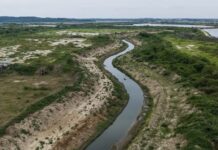 Tumbes: obras de descolmatación benefician a más de 260 familias agricultoras Tumbes: obras de descolmatación benefician a más de 260 familias agricultoras