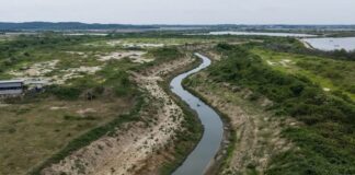 Tumbes: obras de descolmatación benefician a más de 260 familias agricultoras Tumbes: obras de descolmatación benefician a más de 260 familias agricultoras
