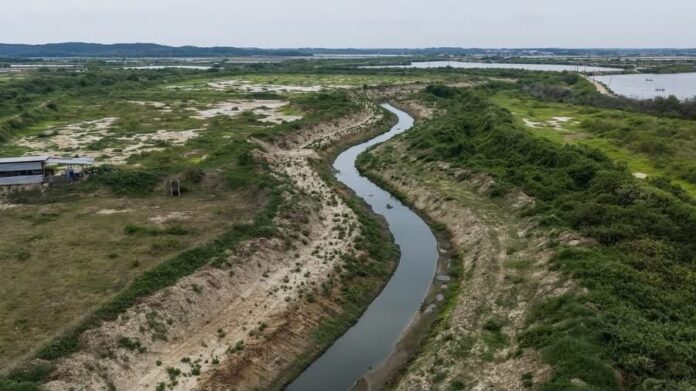 Tumbes: obras de descolmatación benefician a más de 260 familias agricultoras Tumbes: obras de descolmatación benefician a más de 260 familias agricultoras