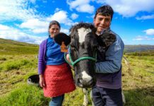 Actividad agraria mantiene tendencia positiva gracias al crecimiento del sector agrícola y pecuario Actividad agraria mantiene tendencia positiva gracias al crecimiento del sector agrícola y pecuario