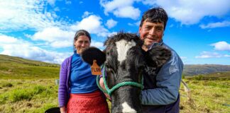 Actividad agraria mantiene tendencia positiva gracias al crecimiento del sector agrícola y pecuario Actividad agraria mantiene tendencia positiva gracias al crecimiento del sector agrícola y pecuario