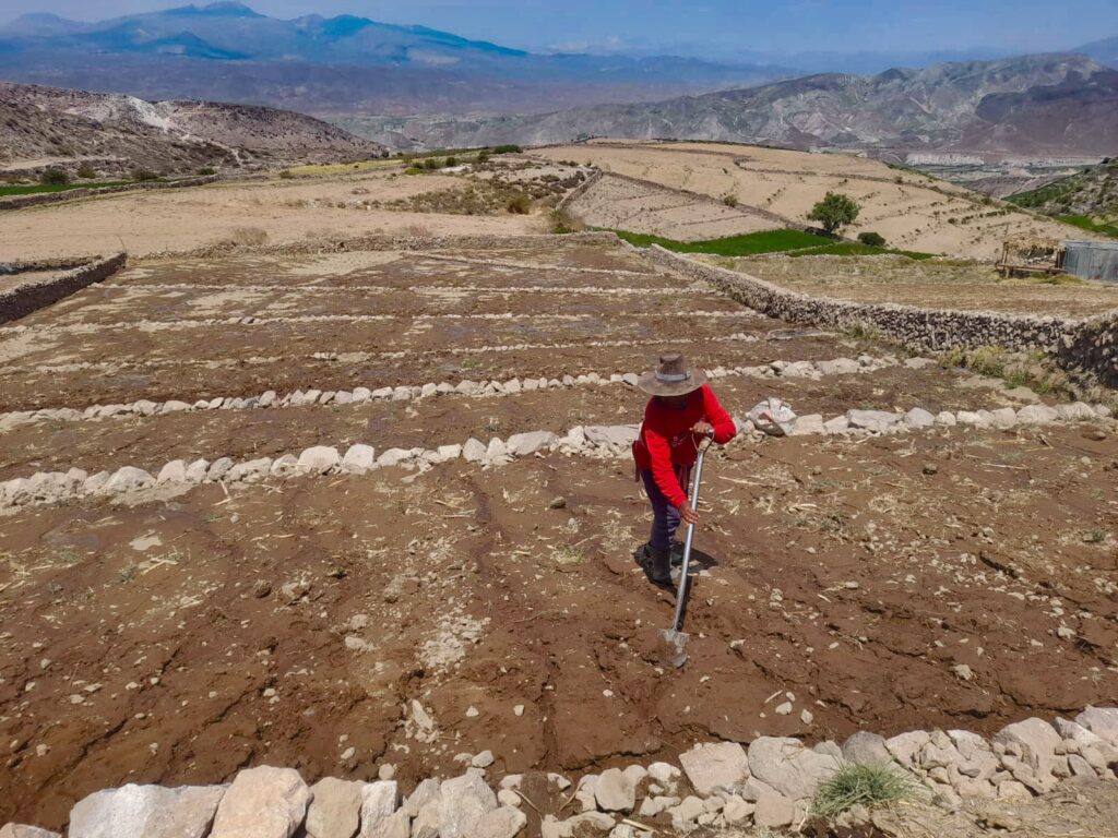 Recuperación de tierras agrícolas avanza en nueve regiones con inversión de S/ 5 millones