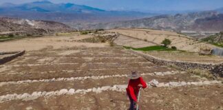 Recuperación de tierras agrícolas avanza en nueve regiones con inversión de S/ 5 millones Recuperación de tierras agrícolas avanza en nueve regiones con inversión de S/ 5 millones