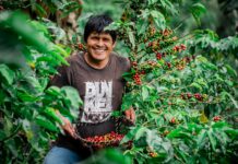Agroexportaciones peruanas alcanzaron US$ 4,713 millones entre enero y mayo de 2026 Agroexportaciones peruanas alcanzaron US$ 4,713 millones entre enero y mayo de 2026