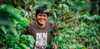 Agroexportaciones peruanas alcanzaron US$ 4,713 millones entre enero y mayo de 2026 Agroexportaciones peruanas alcanzaron US$ 4,713 millones entre enero y mayo de 2026
