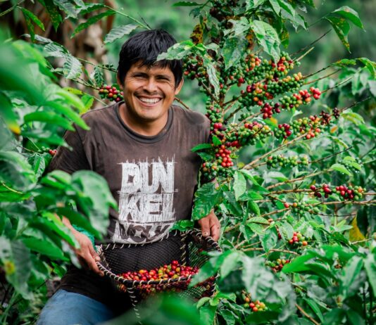 Agroexportaciones peruanas alcanzaron US$ 4,713 millones entre enero y mayo de 2026 Agroexportaciones peruanas alcanzaron US$ 4,713 millones entre enero y mayo de 2026