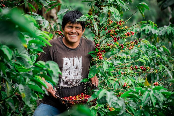 Agroexportaciones peruanas alcanzaron US$ 4,713 millones entre enero y mayo de 2026 Agroexportaciones peruanas alcanzaron US$ 4,713 millones entre enero y mayo de 2026